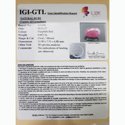 5.11 Ratti Natural New Burma Ruby with Govt. Lab Certificate-(4551)